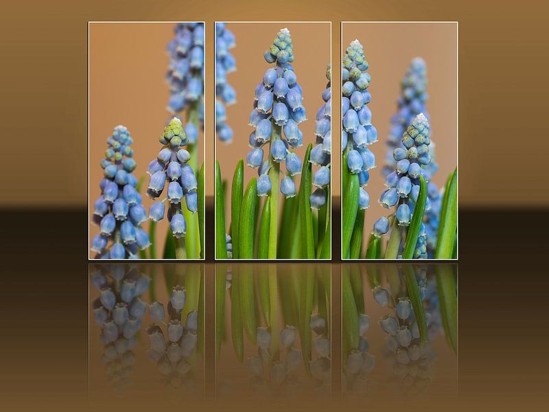 Triptyque Raisins bleus par Bob de Bruin