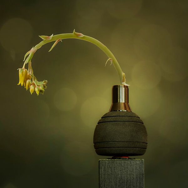 Gelassenheit von Alie Ekkelenkamp