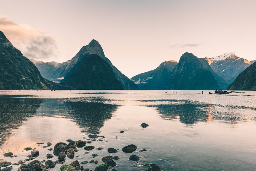 x par Tom in 't Veld