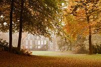 Herfst bij het kasteel de Wiersse