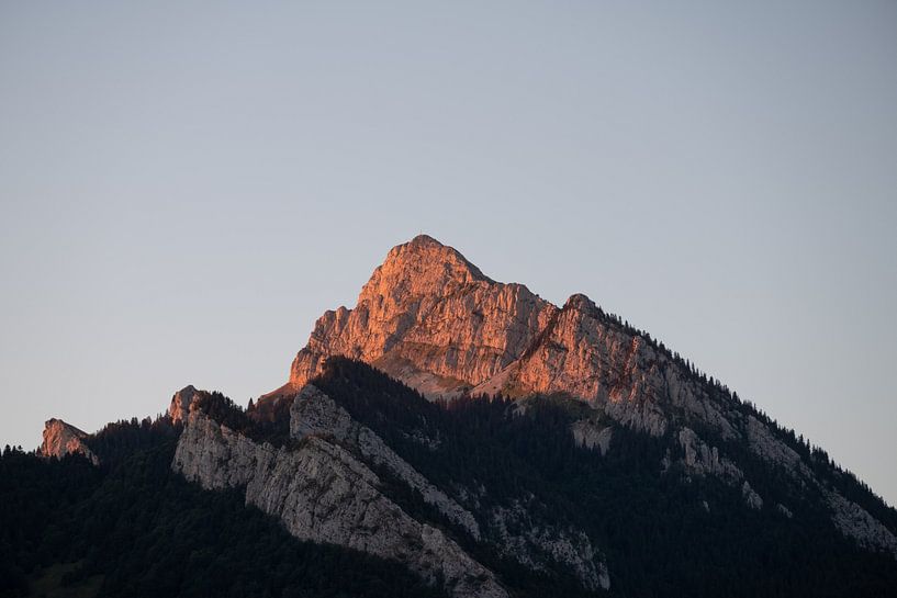 Chartreuse par Lieke Roodbol