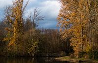 bridge over troubled water