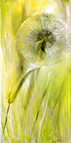 Dandelion by Annette Schmucker