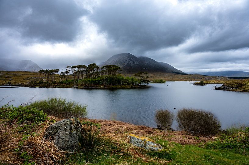 Oasis of beauty by Hans Vellekoop