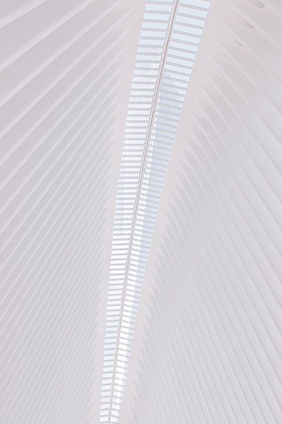 Plafond de l'Oculus à New York, États-Unis par Adelheid Smitt