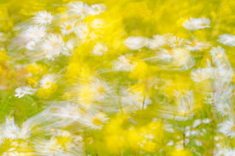 zomerbriesje von Ronald Hofmeester