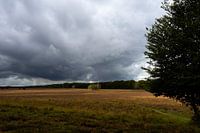 Threatening air above the moor