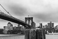 Brooklyn-Brücke - New York City
