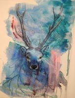 ARTHUR / BLACK FOREST / SDAW