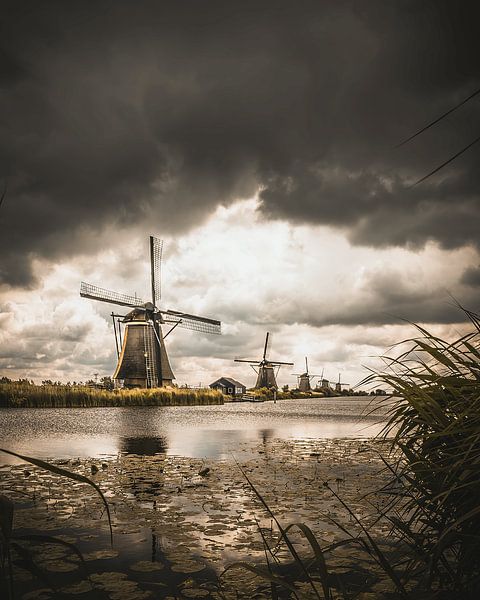 Kinderdijk VI von Die Utrechter Fotografie