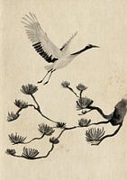 Een kraan vliegt omhoog