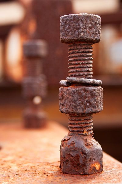 Rusty bolt by Eric van Duijn