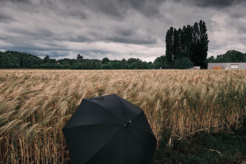 Le gardien noir de la mer d'or par Momentaufnahme | Marius Ahlers