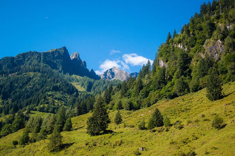 Summer mountains by Pieter Bezuijen