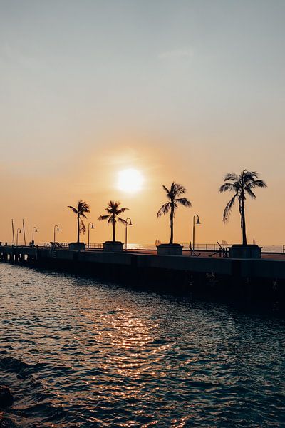 Miami von Hello Pompoyo