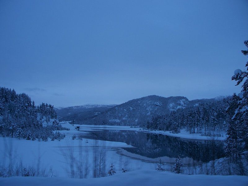 Winter  von Danielle van der Kolk