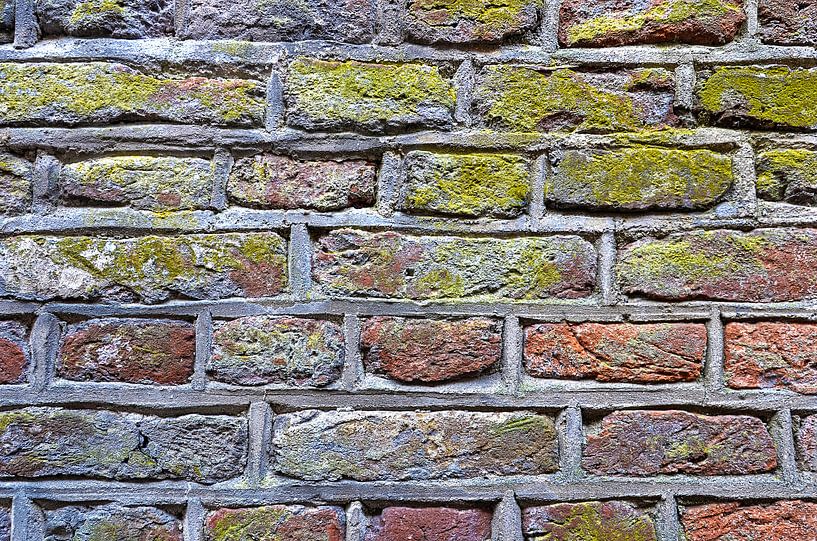 Stadtmauer Zwolle von Frans Blok - Fotos, Kunst und weitere Wanddekoration