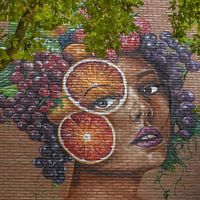 The fruit girl