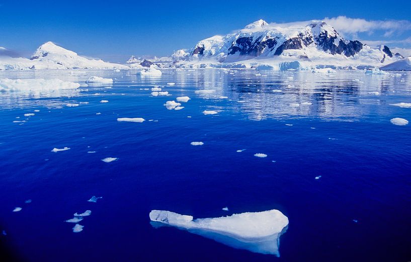 Atarctica 1 - Analogue photography! by Tom River Art