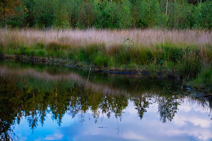 Mirror image of the trees and the clouds in the water by FotoGraaGHanneke