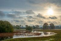 Landscape Netherlands water, air, forest