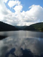 Spiegeling in het meer