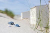 Hinter dem Strandhaus