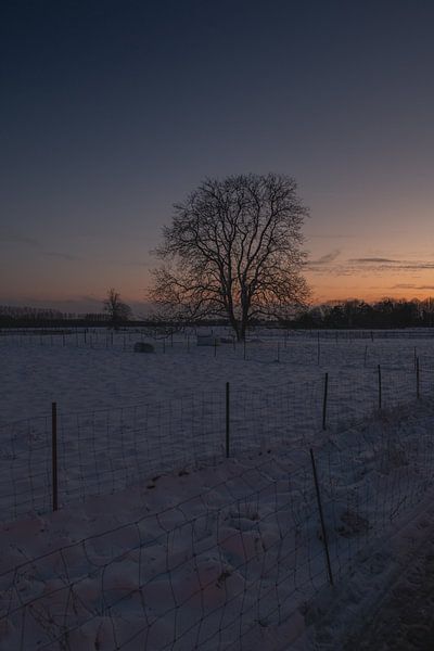 Boechout my country by Dirk Vervoort