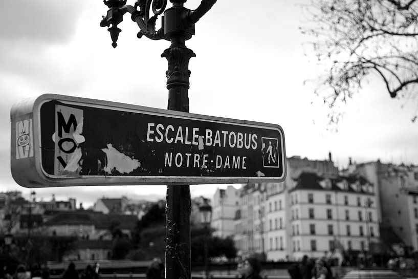 Naast de Notre Dame van Vincent van den Hurk