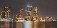 Skyline Rotterdam-Zuid
