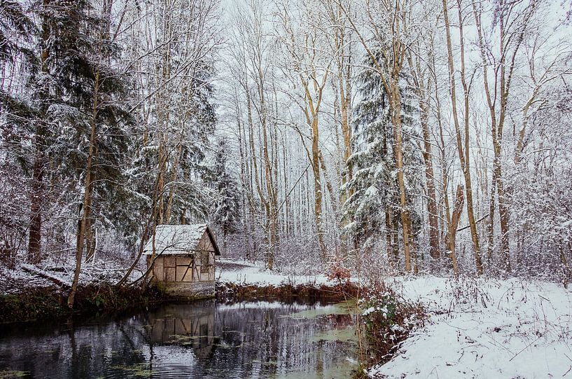 L'hiver à la petite maison près de l'étang par Jürgen Schmittdiel Photography