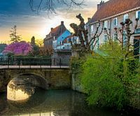 Zuidsingel, Amersfoort