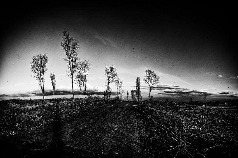 Landscape IV par Rene Kuipers
