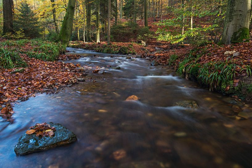 Der Sawe von Martin de Bock