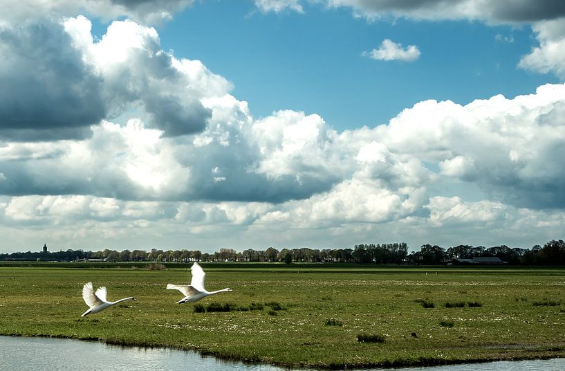 Majestätisch von Annelies Martinot