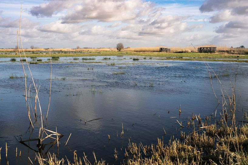 Windige Gewässer von Zeb van Drie