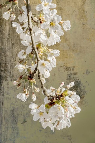 Fleur. Style japonais. par Alie Ekkelenkamp