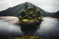Flussbiegung mit grüner Insel - Neuseeland