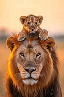Lion avec lionceau