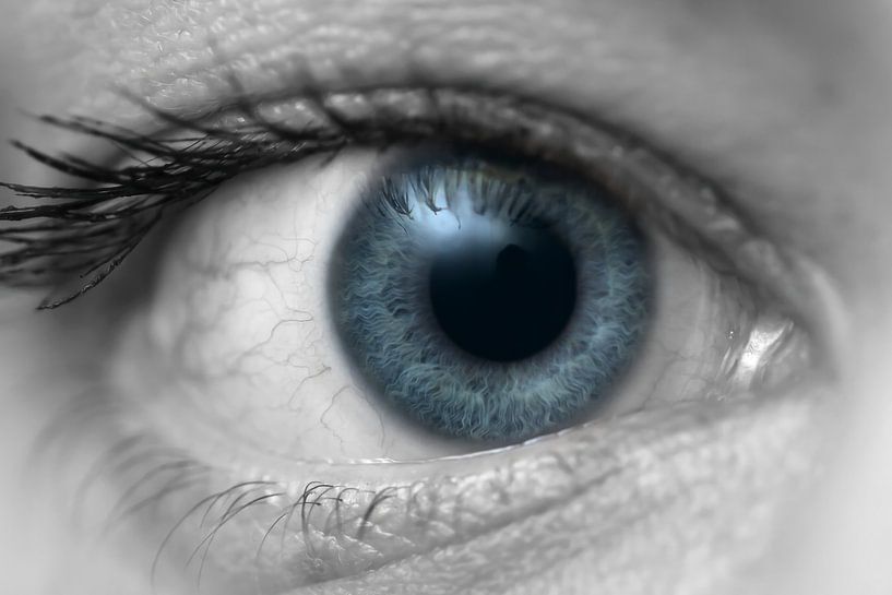 Die Tiefe des Auges von Martien Janssen