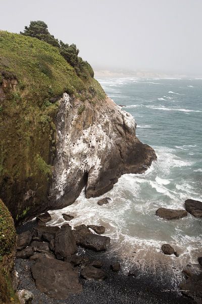 Küstennebel III, Debra Van Swearingen von Wild Apple