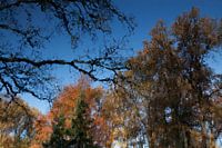 Herbstreflexion im Wasser