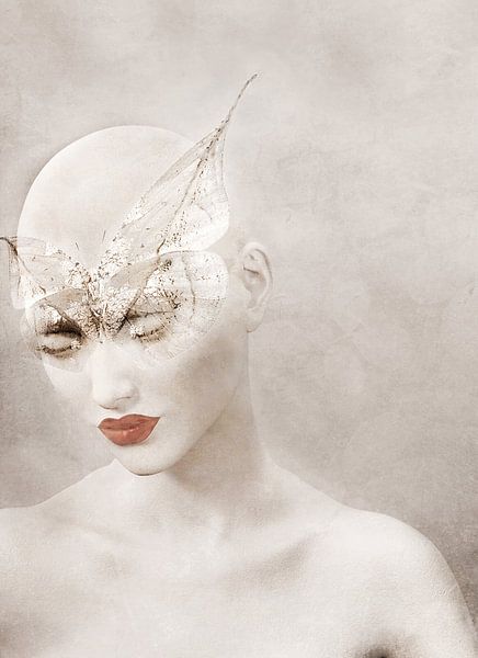 Schmetterling von Jacky