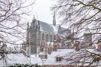 Winter in Leiden