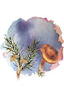 Art mural abstrait avec aquarelle bleue, champignon et romarin - Impression numérique