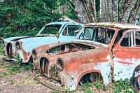 Autofriedhof Bastnas Schweden