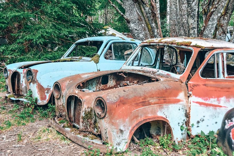 Autofriedhof Bastnas Schweden von Karin Verweij