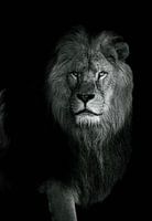 The Lion