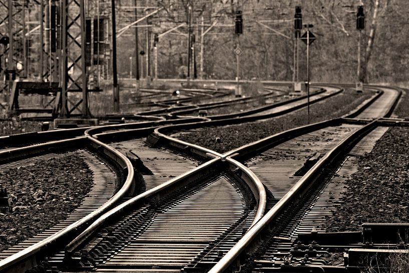 Setting the course by Frank Herrmann