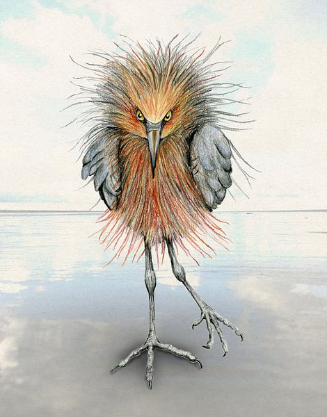 Reddish egret by Bianca Wisseloo